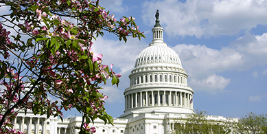 Washington D.C. Property Management
